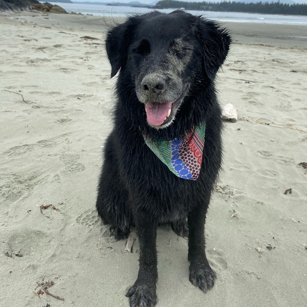 Meet your Posher, La